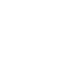 snowflake 1