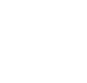 snowflake 10