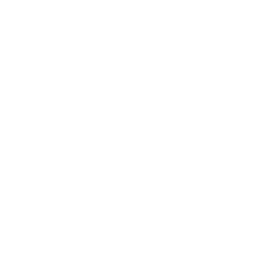 snowflake 3