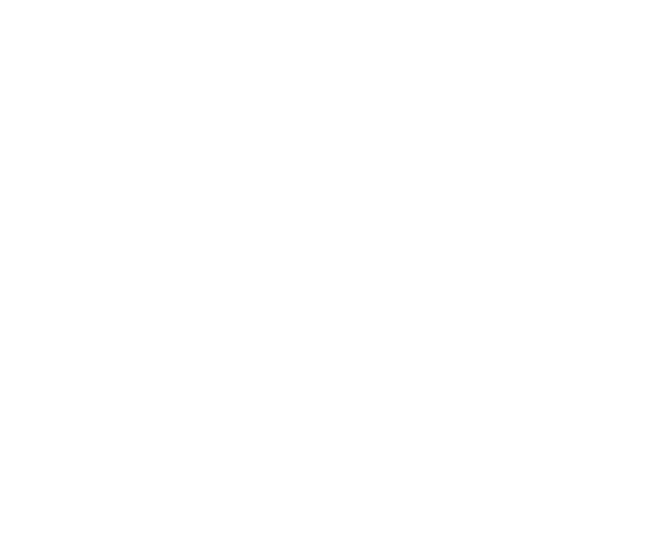 snowflake 8
