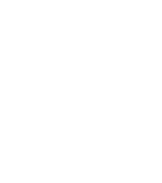 snowflake 9
